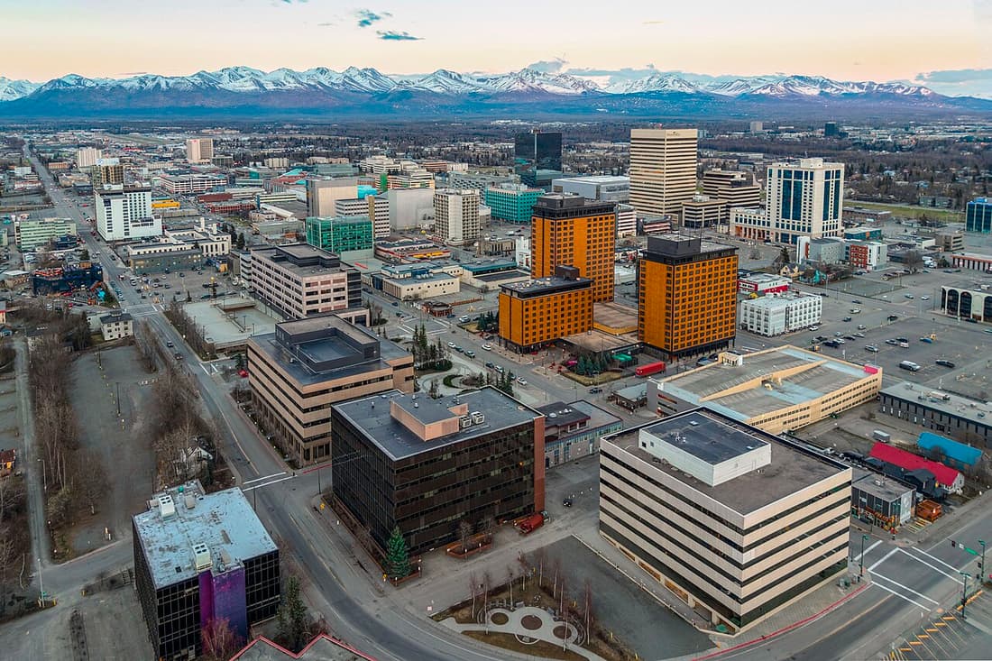 Iditarod Ceremonial Start & 4th Avenue Fan Walk — Things to Do
