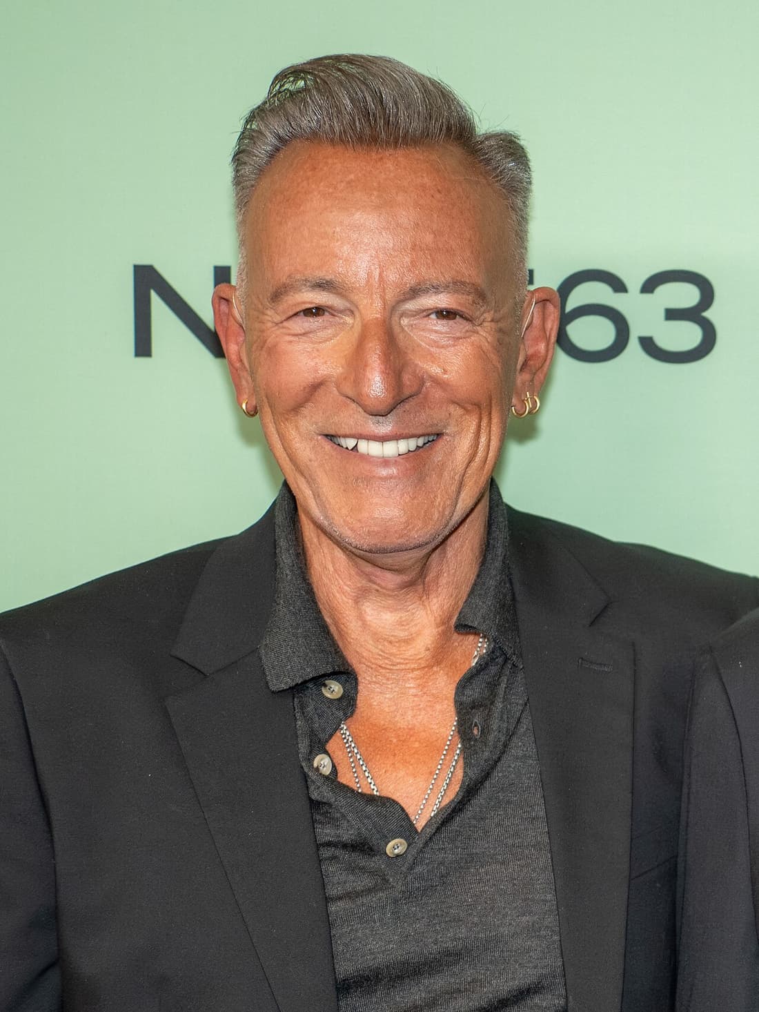 Bruce Springsteen compare hub