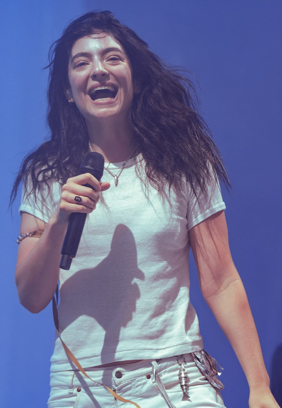Lorde Backgrounds & Wallpapers (HD/4K)