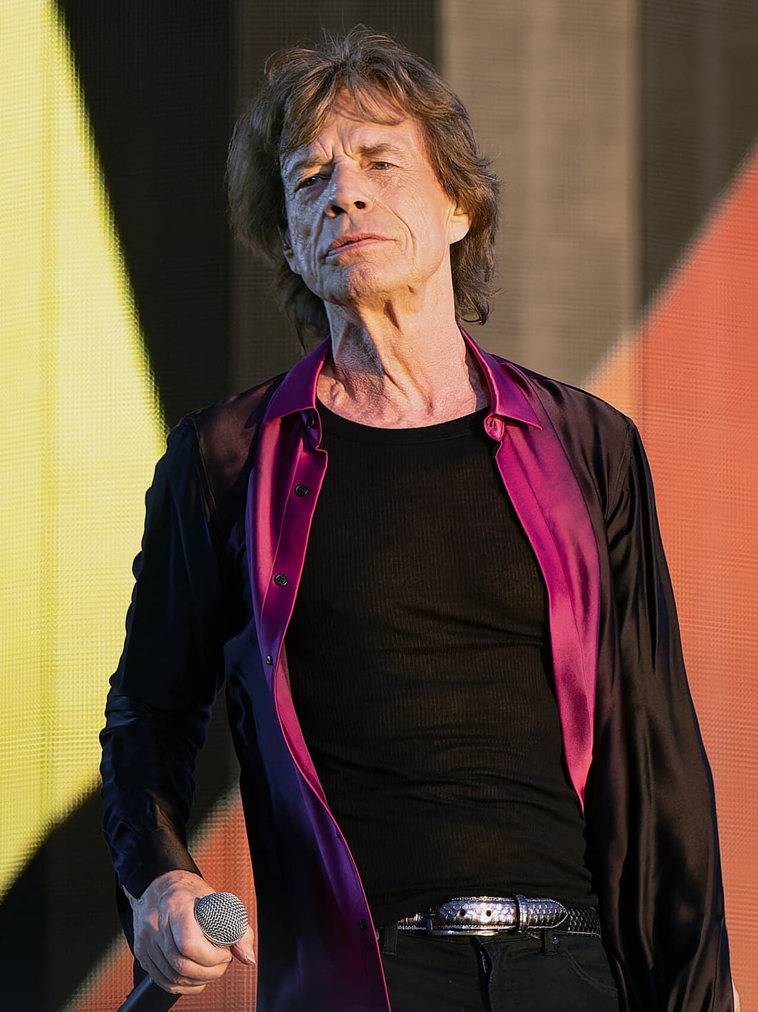 Mick Jagger compare hub