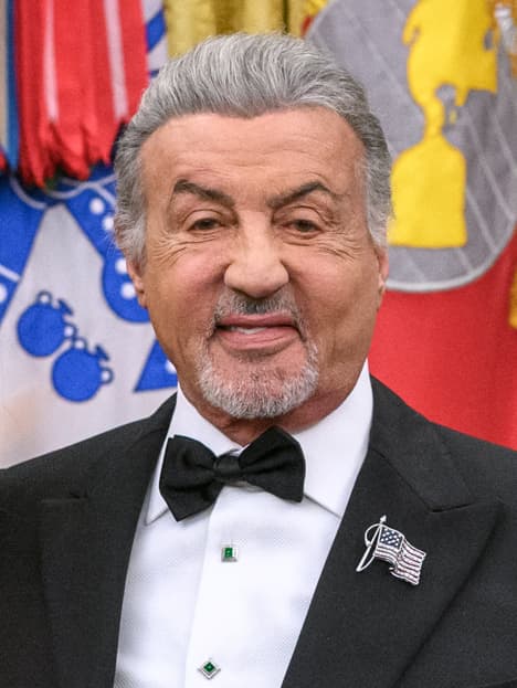 Sylvester Stallone compare hub